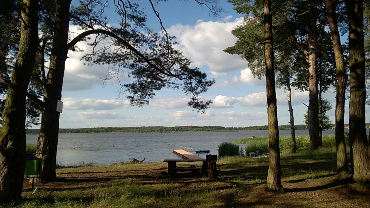 Ferienwohnung Apartament Sloneczna Radzyń Exterior foto